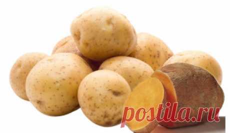 Лечимся картошкой