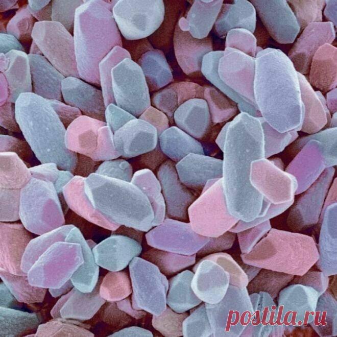 Обычные вещи под микроскопом выглядят как фантастический мир) | PRO ART | Яндекс Дзен