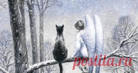 Трогательная сказка про кота и ангела