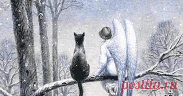 Трогательная сказка про кота и ангела