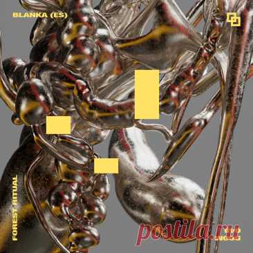 BLANKA (ES) - Forest Ritual ROO048 » MinimalFreaks.co