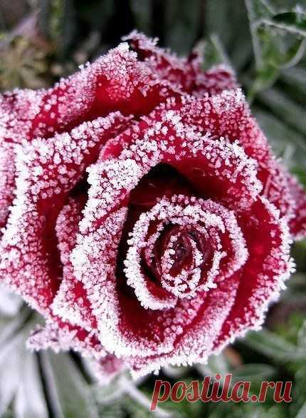 10 фотографий, которые идеально передают суть жизни. | Страна Полезных Советов