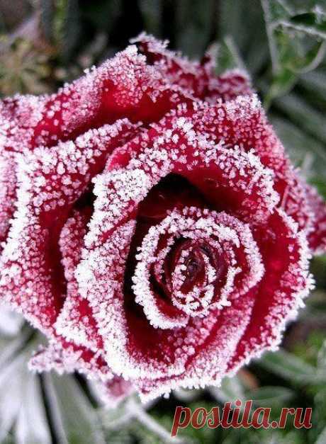 10 фотографий, которые идеально передают суть жизни. | Страна Полезных Советов