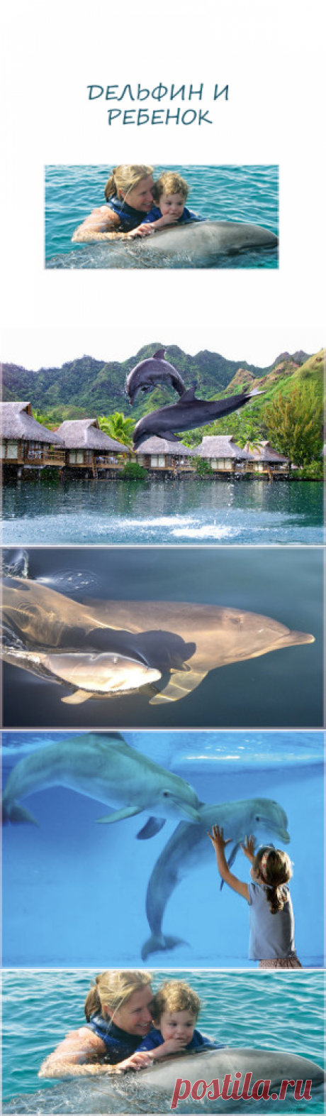 Дельфинотерапия для детей - Поделки с детьми | Деткиподелки