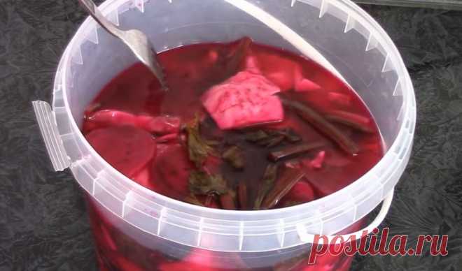 Вкусная и хрустящая квашеная капуста – классические рецепты на зиму