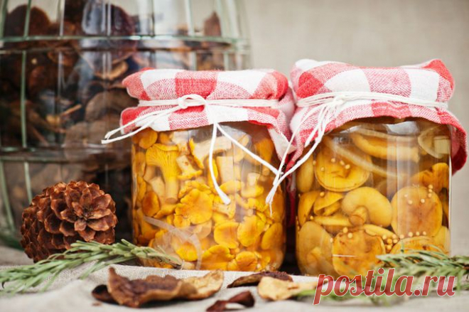 Ruošiame grybų atsargas. 7 puikūs receptai | Ji24.lt