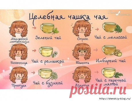Целебная чайная памятка