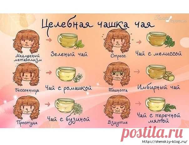 Целебная чайная памятка