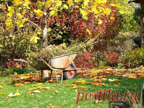 5 дел, которые лучше не делать в саду осенью, а пренести на весну | Волжский сад | Дзен