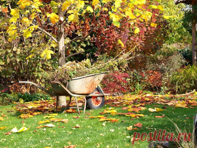 5 дел, которые лучше не делать в саду осенью, а пренести на весну | Волжский сад | Дзен
