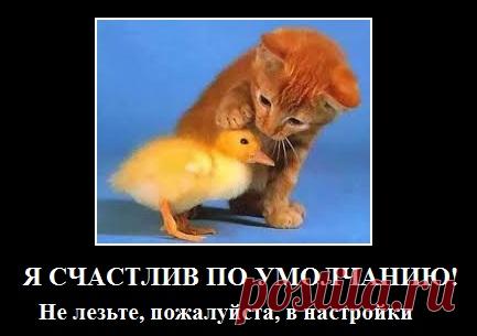 Что значит по умолчанию Подробное объяснение понятия, что значит по умолчанию. В качестве примеров рассматриваются различные режимы по умолчанию.