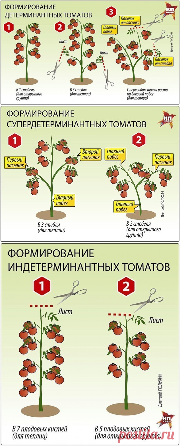 Одноклассники