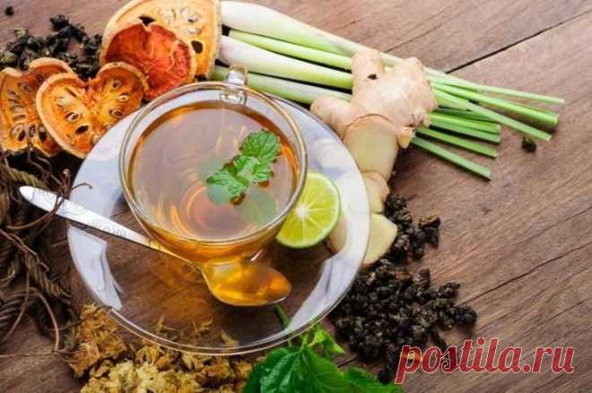 Ох уж эта простуда: 8 эффективных способов борьбы с главным осенним недугом