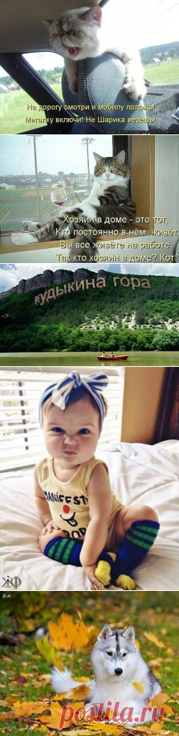 (1) Одноклассники