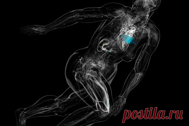 9 взаимосвязей в вашем теле, о которых вы не подозревали