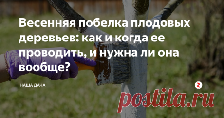 Весенняя побелка плодовых деревьев: как и когда ее проводить, и нужна ли она вообще? Забегая вперед, скажу, что, хоть совсем без побелки обойтись можно, но все же лучше сделать эту процедуру. И на это имеется несколько веских причин.