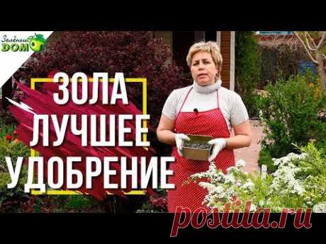 Как приготовить органические удобрения / Домоседы