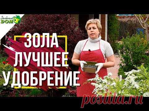 Как приготовить органические удобрения / Домоседы