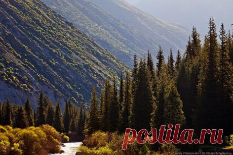 Григорьевское ущелье Иссык-Куля | ФОТО НОВОСТИ