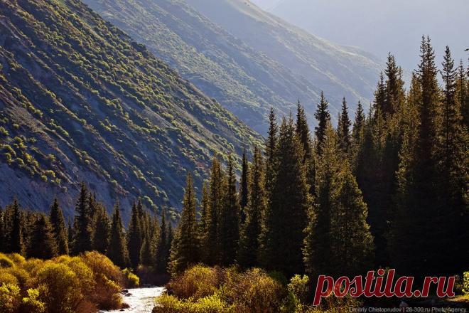 Григорьевское ущелье Иссык-Куля | ФОТО НОВОСТИ