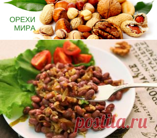 Рецепт вкусного салата с фасолью и орехами. этот зимний салат готовится очень просто, а по сытности не уступает мясным блюдам.