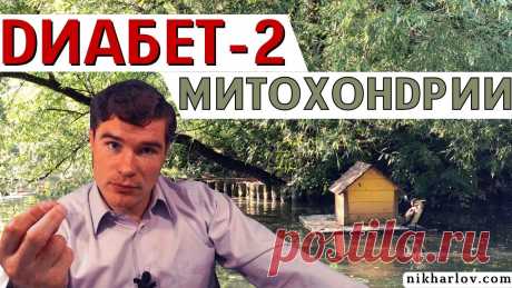 Митохондрии и Диабет 2 типа. Старые таблетки снижают сахар крови, а механизмы и последствия разные. Митохондрии и Диабет 2 типа (СД2 - T2DM). Старые таблетки от диабета одинаково снижают сахар крови...но разные механизмы, последствия, побочные эффекты, осло...