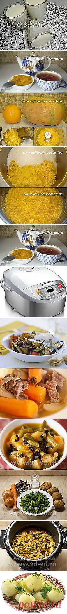 Евгения Петрова: мультиварка | Постила.ru