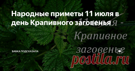 Народные приметы 11 июля в день Крапивного заговенья Статья автора «Бабка подсказала» в Дзене ✍: Народные приметы 11 июля. Какой праздник принято отмечать 11 июля. 11 июля - Крапивное заговенье. Народные приметы 11 июля.