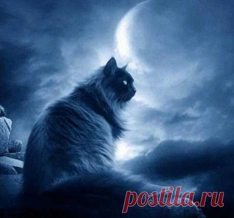 Слова-обереги, которые нужно произносить, выходя из дома Выходя из дома, чтобы заручиться поддержкой Высших Сил и защитить себя от неприятностей и негативно настроенных людей, которых мы можем встретить и на улице, и на работе, и в том же магазине, каждому ...
