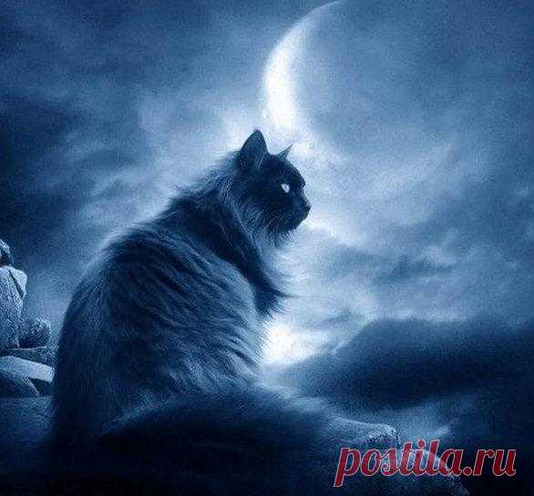 Слова-обереги, которые нужно произносить, выходя из дома Выходя из дома, чтобы заручиться поддержкой Высших Сил и защитить себя от неприятностей и негативно настроенных людей, которых мы можем встретить и на улице, и на работе, и в том же магазине, каждому ...
