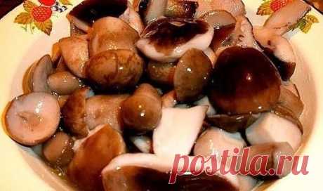 МАРИНАД ДЛЯ ГРИБОВ (ОПЯТ, МАСЛЯТ, БЕЛЫХ И Т. Д. )
1 литр воды;
2 ст. л. сахара;
4 ч. л. соли;
3 шт. лаврового листа;
6 горошин душистого перца;
4 шт. гвоздики;
3 кусочка корицы (молотой ½ ч. л.) ;
3 ч. л. уксусной эссенции 70 %.
При использовании столового 5% уксуса необходимо взять 800 мл воды и 200 мл 5% уксуса. При использовании 9% уксуса — 890 мл воды и 110 мл 9% уксуса.
ПРИГОТОВЛЕНИЕ: 
Вскипятить воду, добавить специи, проварить минутки три (уксус добавить в самом кон...