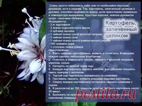 Рецепты - Картофель, запеченный целиком