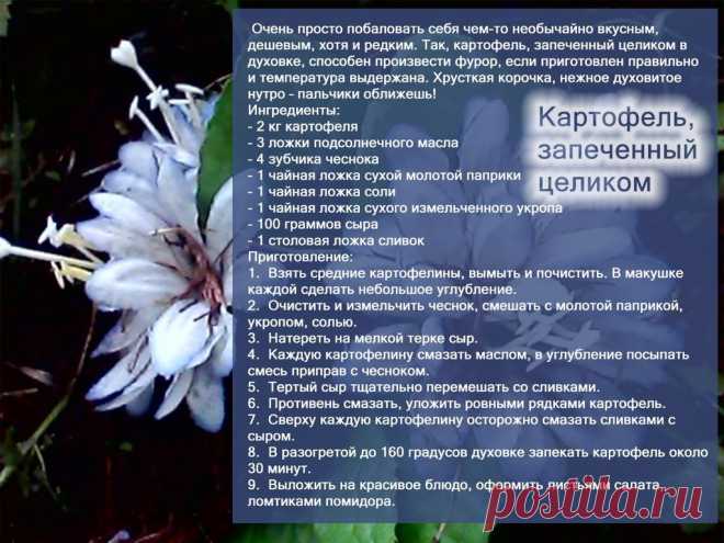Рецепты - Картофель, запеченный целиком