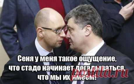 А может, лидеры Украины специально показывают себя идиотами?