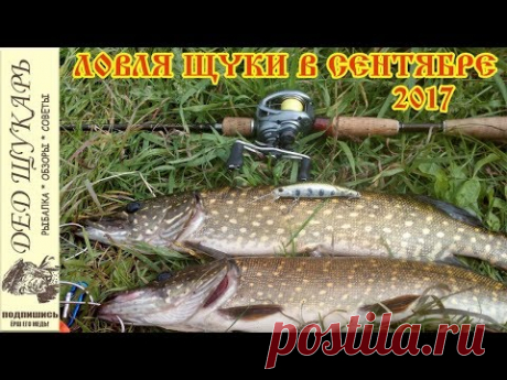 Ловля щуки в сентябре 2017