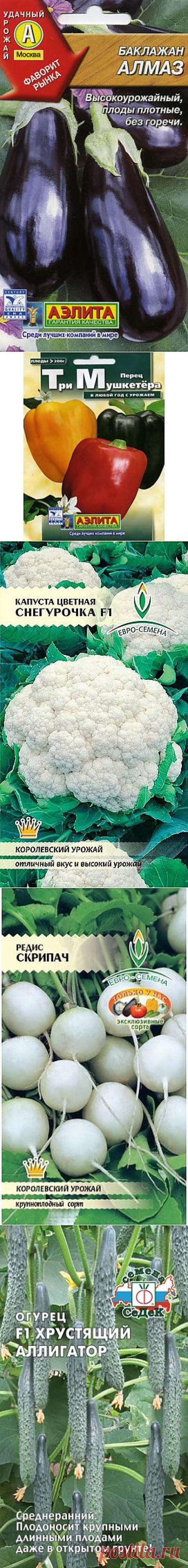 оранжерея моей души