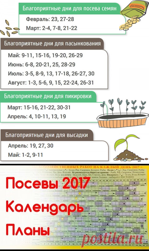 (2) Одноклассники