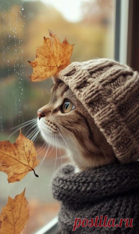 Мой Мир@Mail.Ru