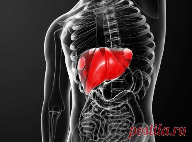Теория двух ударов. Ожирение и печеночный метаболизм / Будьте здоровы