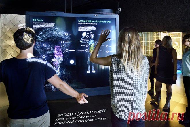 Экскурсия по первому в мире интерактивному зоопарку микробов - Занимательный журнал