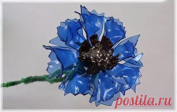 Васильки из пластиковых бутылок: мастер-класс - Сам себе мастер - медиаплатформа МирТесен