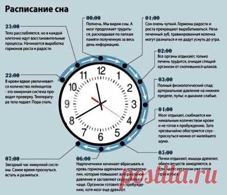 0dutEP8Cn2c.jpg (697×597)