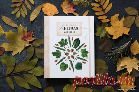С книгой «Мой гербарий. Листья деревьев» теперь можно не зависеть от учителей