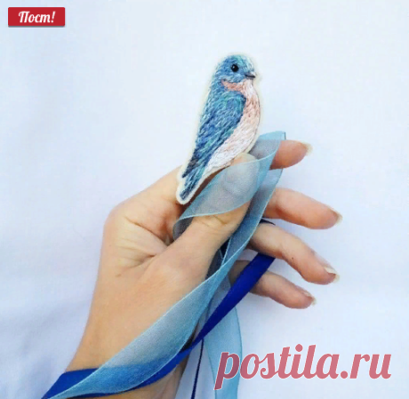 Новости