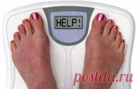 Как набрать вес