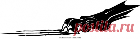 Animals | Studio77 FX vector: коллекция стоковых фотографий и изображений | Shutterstock