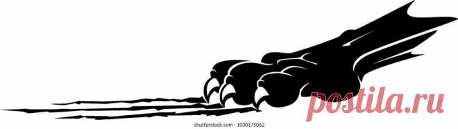 Animals | Studio77 FX vector: коллекция стоковых фотографий и изображений | Shutterstock