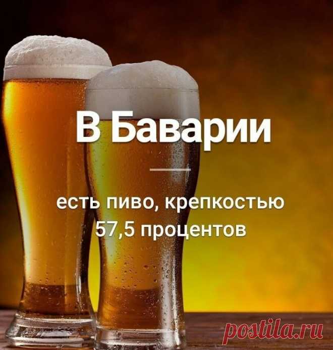 10 стыдных вопросов о пиве: открываем тайны популярного напитка Пиво является одним из самых популярных напитков во всем мире. Оно имеет долгую историю, и его употребление связано со множеством традиций ...