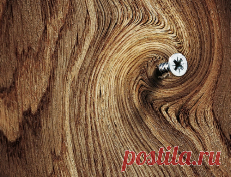 Как быстро и удобно замаскировать головки шурупов в древесине | Ремхак | Яндекс Дзен