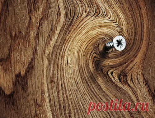 Как быстро и удобно замаскировать головки шурупов в древесине | Ремхак | Яндекс Дзен